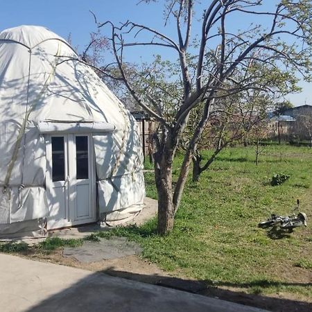 Yurt Stay In Downtown Karakol Esterno foto